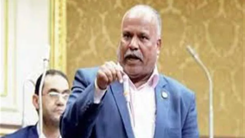 برلماني: 120 نائبًا يؤيدون فصل هيئة الثروة المعدنية عن «البترول»
