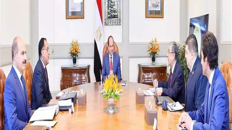 تفاصيل اجتماع رئيس الجمهورية مع وزير الكهرباء ورئيس «المحطات النووية»