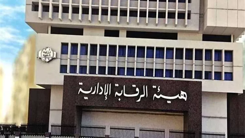 تفاصيل القبض على قيادة كبيرة بوزارة المالية