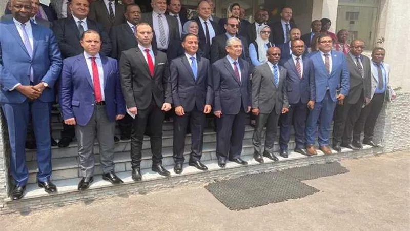 فجر الأربعاء.. وزير الكهرباء يعود من الكونغو بدون ممثلى بعض الشركات الخاصة