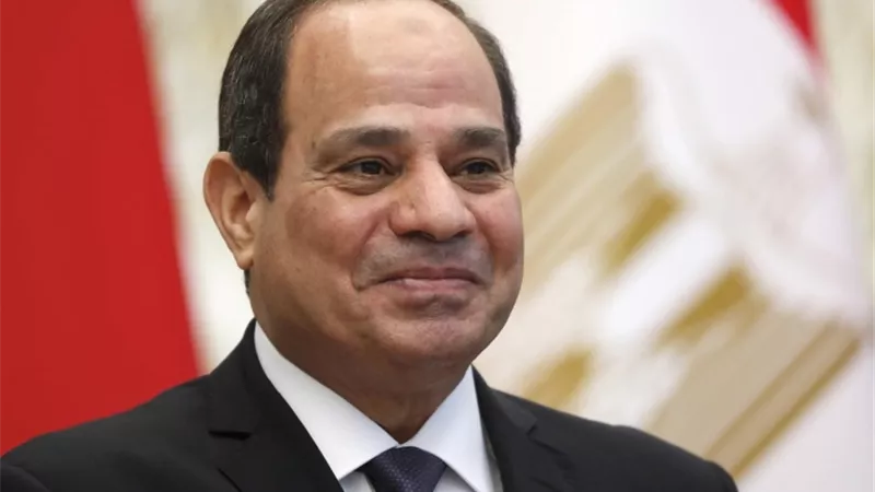 رئيس الوزراء يشيد بشركات توصيل الغاز أمام الرئيس السيسي