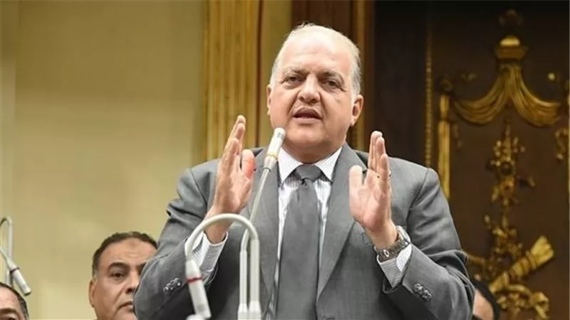 السويدي: رؤية السيسى بالتعاون مع 