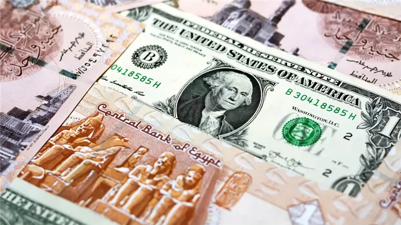  سعر الدولار مقابل الجنيه المصري اليوم الثلاثاء 