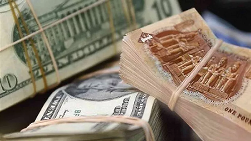 سعر الدولار أمام الجنيه المصري اليوم 6 مايو 2024 