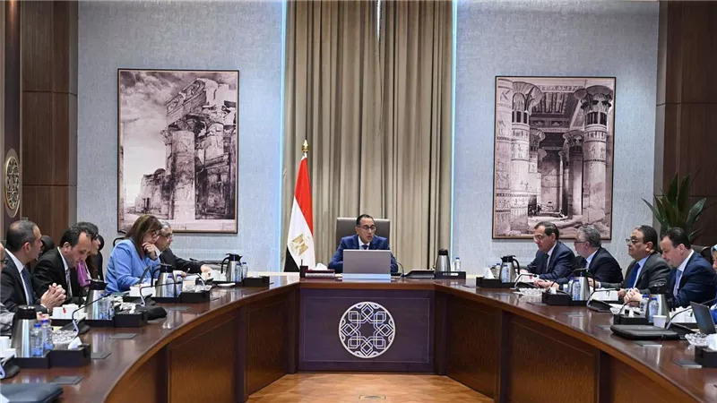 رئيس الوزراء يتابع موقف مشروعات الهيدروجين الأخضر