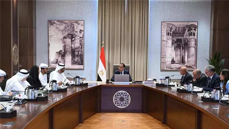 رئيس الوزراء يعقد اجتماعاً لبحث مجالات التعاون بين مصر والإمارات في ملف الطاقة المتجددة
