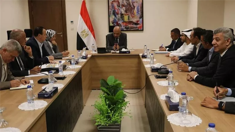 وزير الكهرباء يبحث مع تحالف 