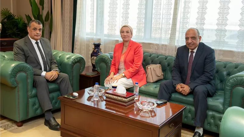  الدكتور محمود عصمت: خفض استهلاك الوقود والاعتماد على الطاقات النظيفة فى توليد الكهرباء 