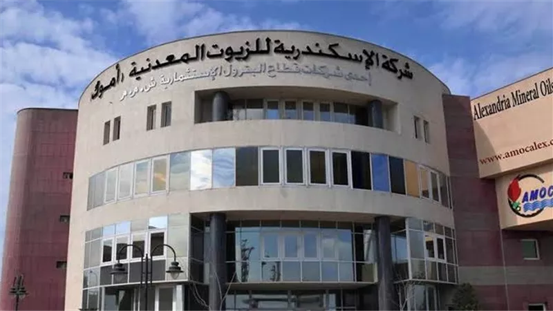 أموك تشارك في انتخابات مجلس الشيوخ ٢٠٢٥