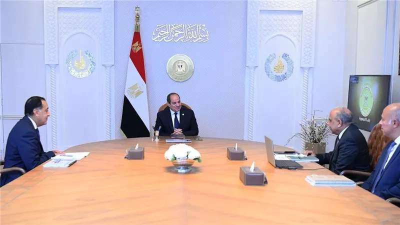 الرئيس السيسي يوجه بالعمل على إضافة قدرات من الطاقات المتجددة إلى مزيج الطاقة