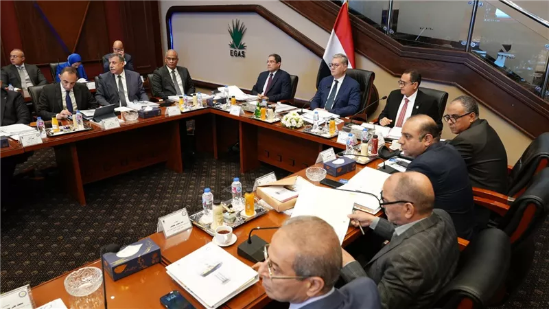 وزير البترول خلال عمومية “إيجاس”: المسح السيزمي محفز هام لجذب الشركات في مصر
