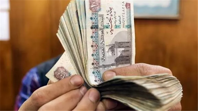 بدء صرف أرباح العاملين بشركات البترول 