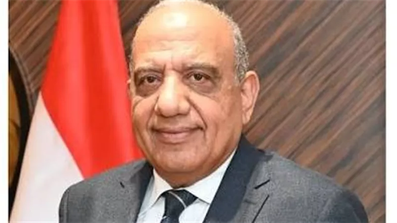 مصر تتسلم رئاسة منظمة اتحاد مرافق الكهرباء الإفريقية