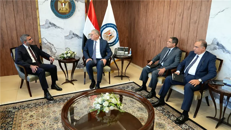 مباحثات مصرية إماراتية لتعزيز الشراكة في كفاءة استخدام الطاقة 