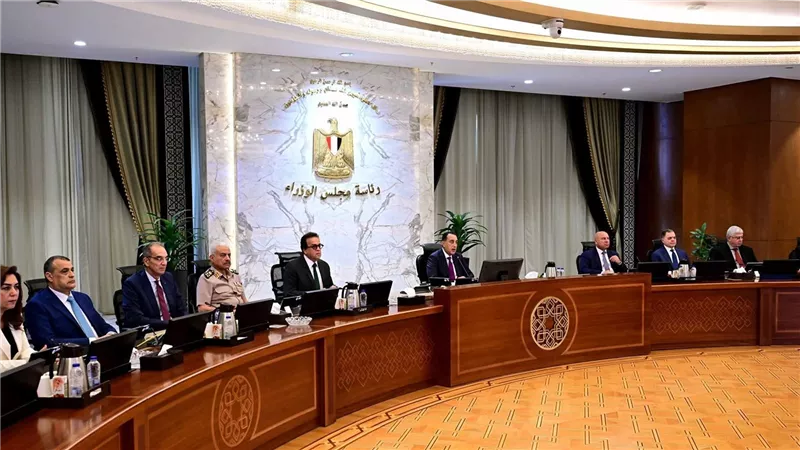 مجلس الوزراء يمنح العلمين لمنتجات السيليكون الرخصة الذهبية لإقامة مصنع ضخم بمدينة العلمين الجديدة