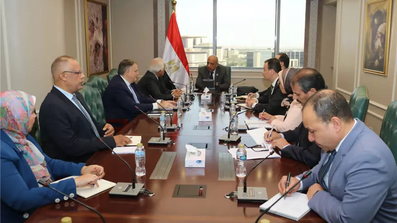 وزير الكهرباء يبحث مع رئيس