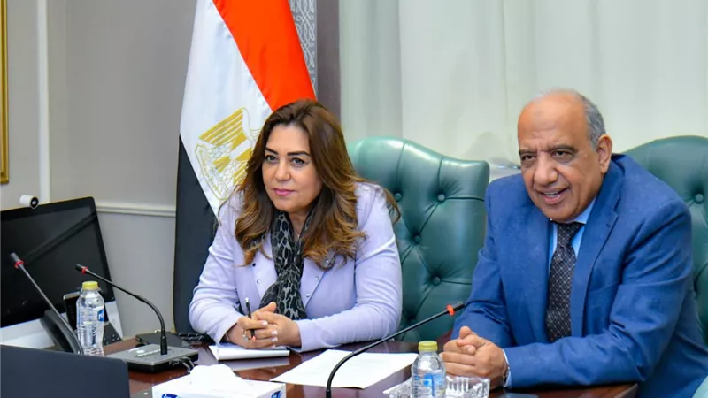 وزيرا الكهرباء والتنمية المحلية يبحثان التنسيق والعمل المشترك والتعاون فى قضايا البيئة والطاقات المتجددة