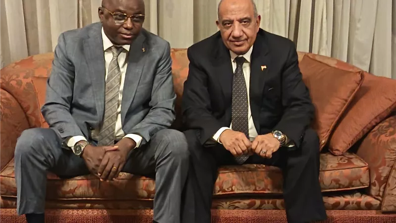 وزير الكهرباء يبحث مع وزير المياه والطاقة بجمهورية تشاد سبل التعاون فى مختلف مجالات الكهرباء