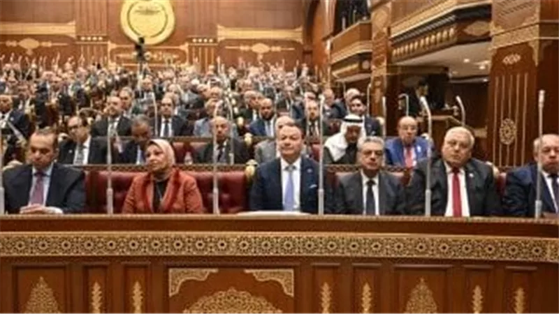 مجلس الشيوخ يوافق نهائيًا على تعديلات قانون الكهرباء