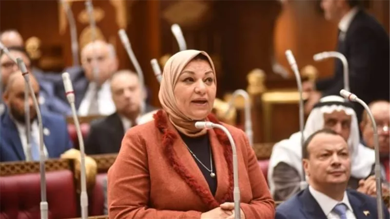 «الكهرباء»: سرقات التيار 10% من الفاقد.. و100% من المشروعات الجديدة ينفذها القطاع الخاص