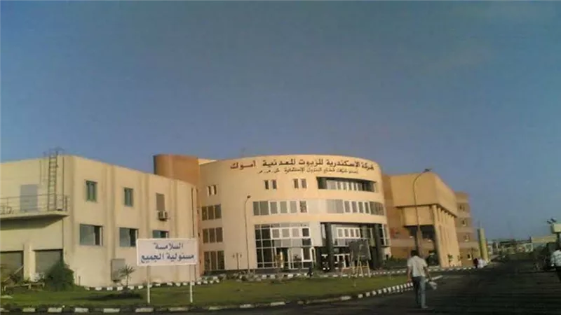 أرباح 