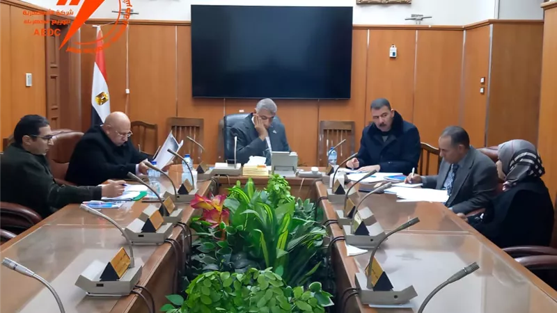 الإسكندرية لتوزيع الكهرباء تعقد الجلسة السادسة للإستماع لطلبات وشكاوى العاملين 
