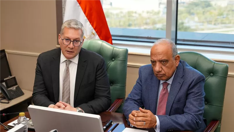وزيرا الكهرباء والبترول يبحثان توفير الوقود المكافئ لتأمين التغذية الكهربائية