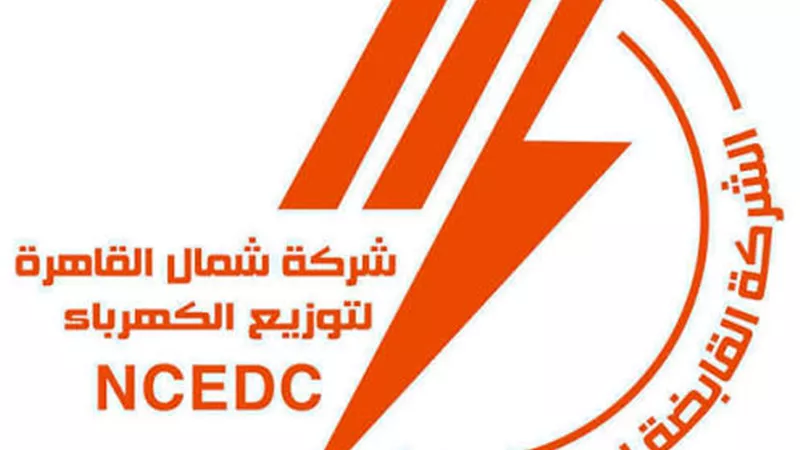غدا...اختبار رئيس قطاعات الشئون المالية ب«شمال القاهرة»للكهرباء