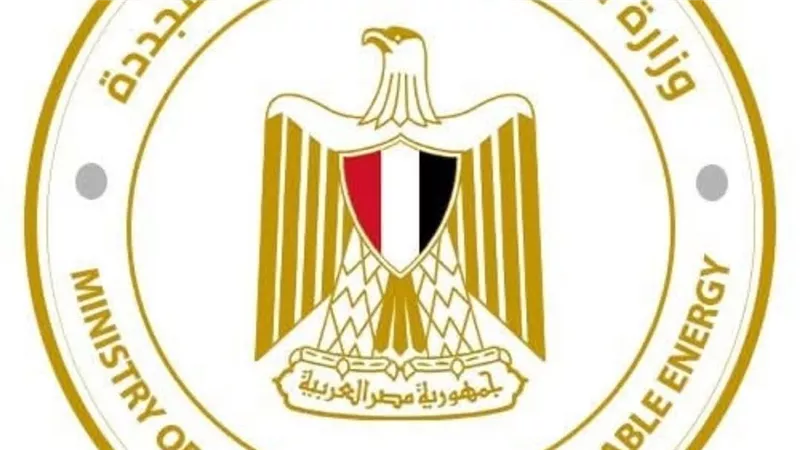 وزارة الكهرباء تتسلم جائزة التميز الحكومي عن المنصة الموحدة لخدمات كهرباء مصر
