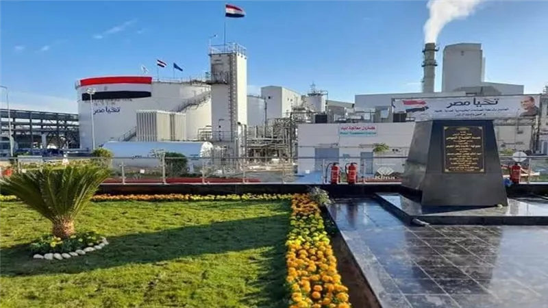أرباح 