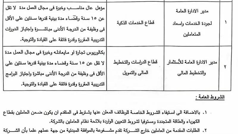 22 متسابق ب«القابضة للكهرباء» يتنافسون على حسم «إسعاد المتعاملين»و «التخطيط المالى»