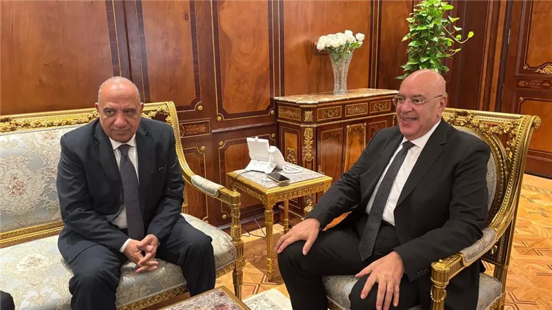 محمود عصمت يطمئن نواب البرلمان على عمل المنظومة الكهربائية على مستوى الإنتاج والنقل والتوزيع
