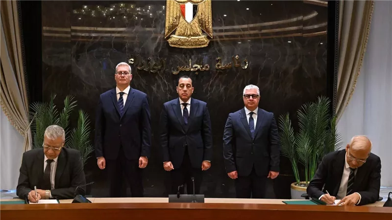 شراكة بين  