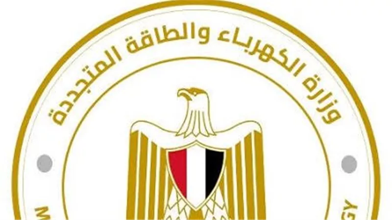 ترشيح 6 قيادات بشركات توزيع الكهرباء للتصعيد في حركة تنقلات مرتقبة