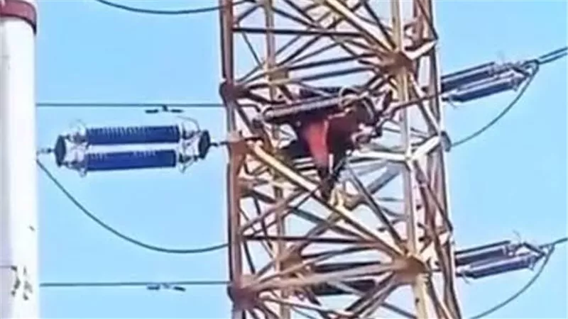 مصرع فني حديث التعيين أثناء إصلاح عطل بالجهد المتوسط في النوبارية.. والتحقيقات تبدأ فورًا