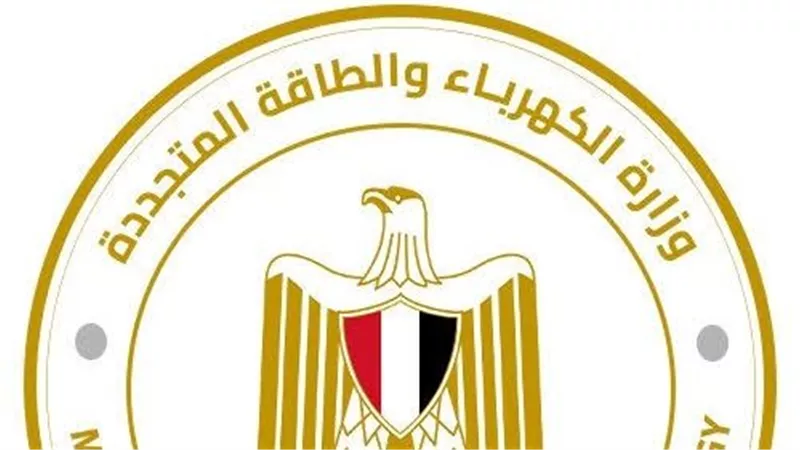 اللجنة العليا للأمن بوزارة الكهرباء تختبر المتقدمين لوظائف مديري الأمن بالشركات