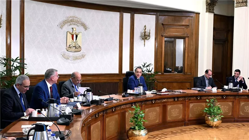 رئيس الوزراء يكلف بتسريع مقترح مبادرة استخدام الطاقة الجديدة والمتجددة بالمصانع