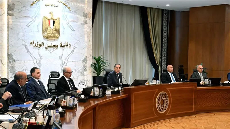 مجلس الوزراء: استمرار العمل عن بُعد يوم الأحد من كل أسبوع خلال يونيو