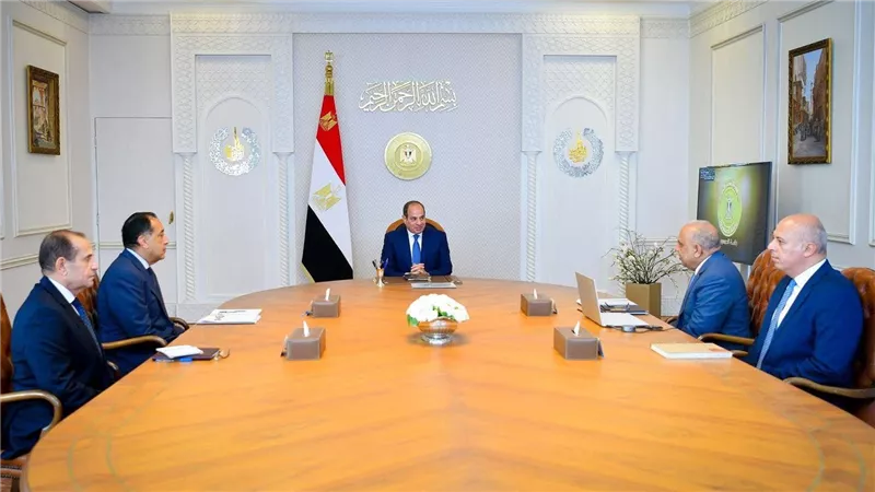 الرئيس السيسي يجتمع مع رئيس الوزراء ووزير الكهرباء 