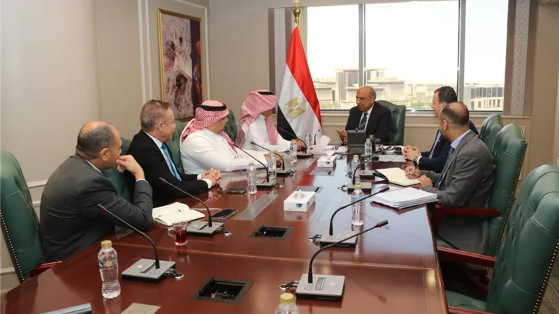 وزير الكهرباء يبحث مع شركة 