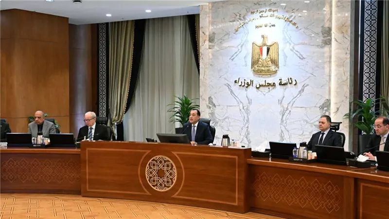 مجلس الوزراء: توجيه عائد صفقة محطة طاقة رياح 
