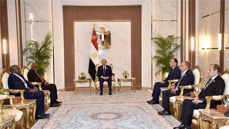 الرئيس السيسي يستقبل إليكو دانجوتي مؤسس ورئيس مجموعة «دانجوتي»